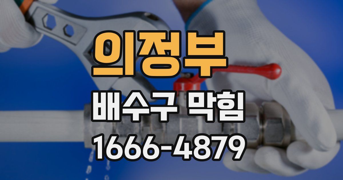 의정부 배수구 막힘