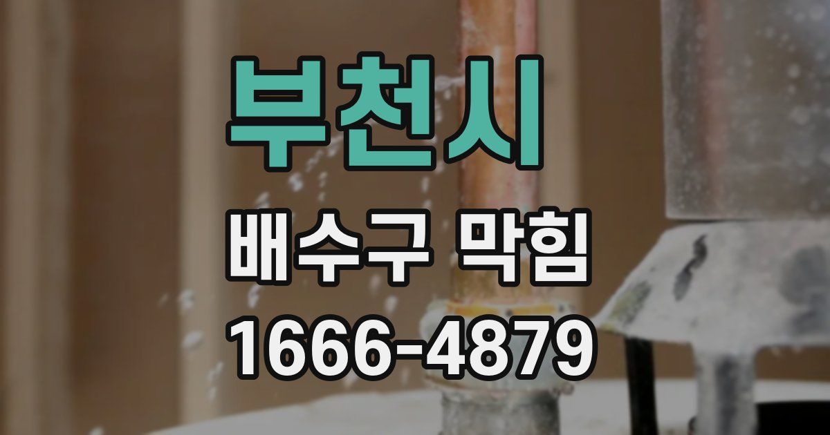 부천시 배수구 막힘