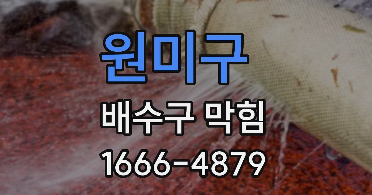 원미구 배수구 막힘