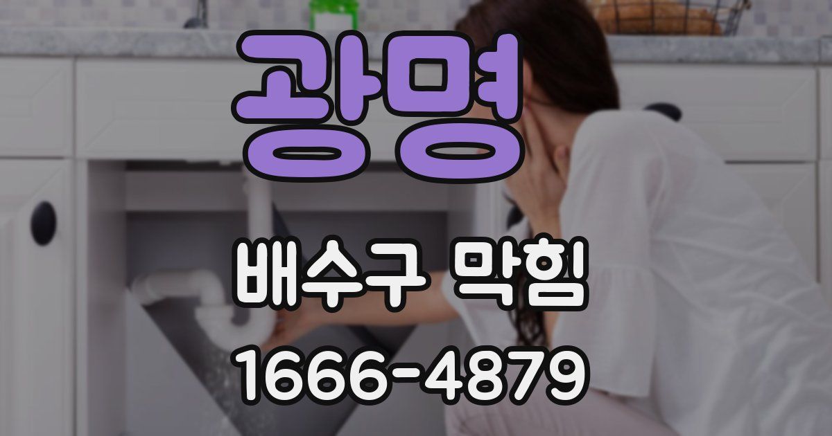 광명 배수구 막힘