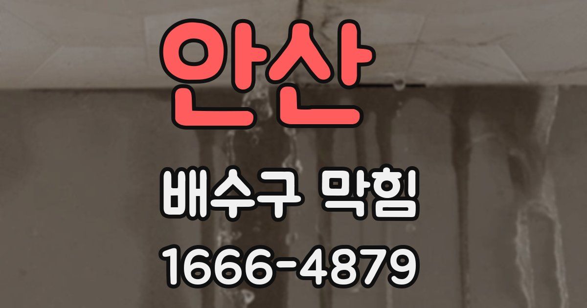 안산 배수구 막힘