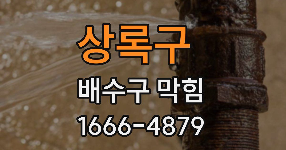 상록구 배수구 막힘