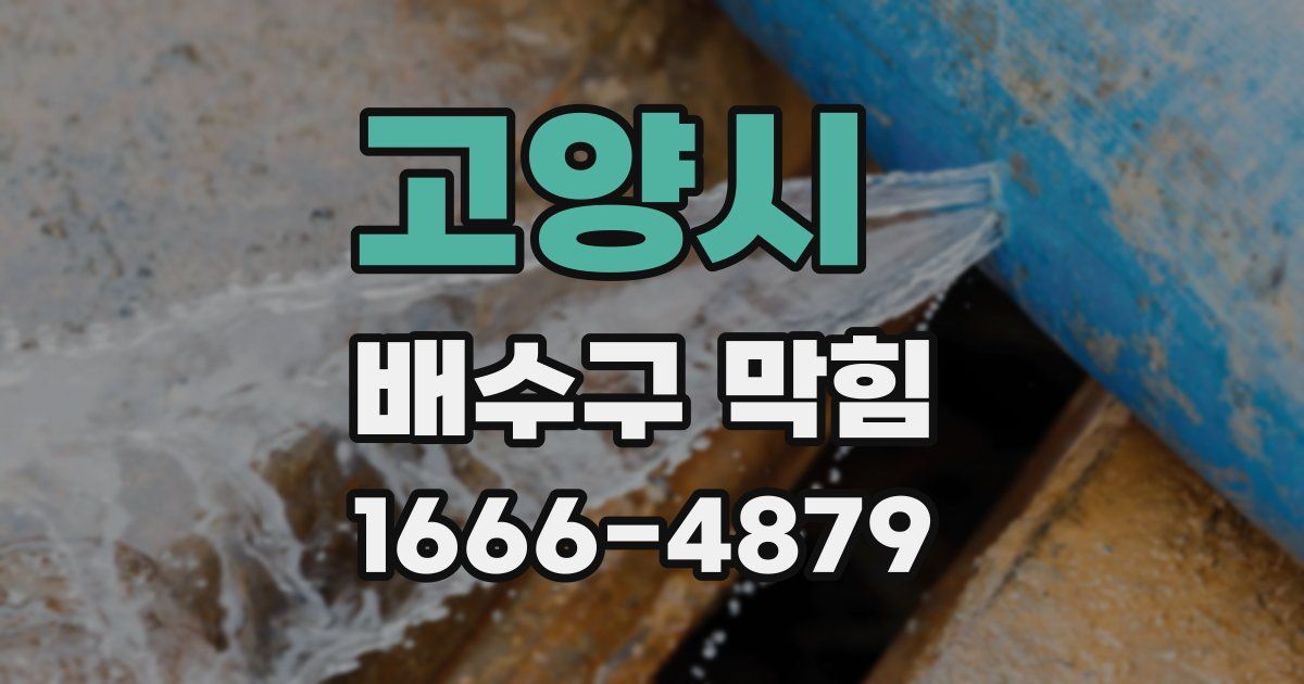 고양시 배수구 막힘