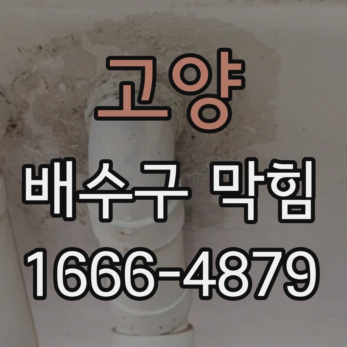 고양 배수구 막힘