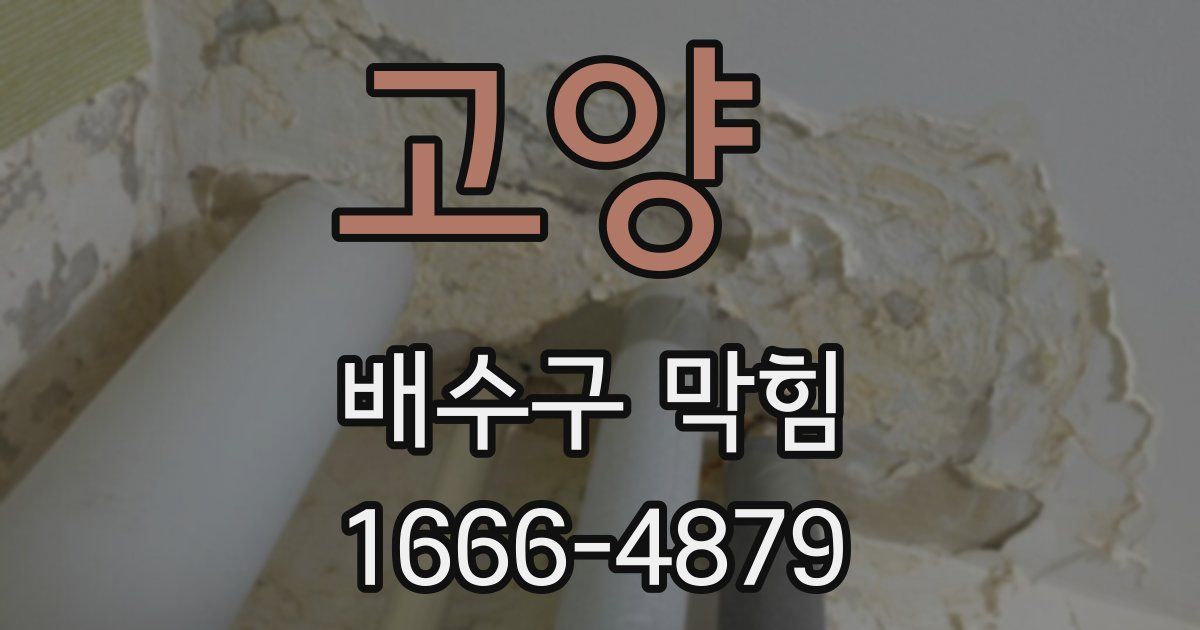 고양 배수구 막힘