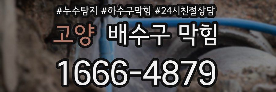 고양 배수구 막힘