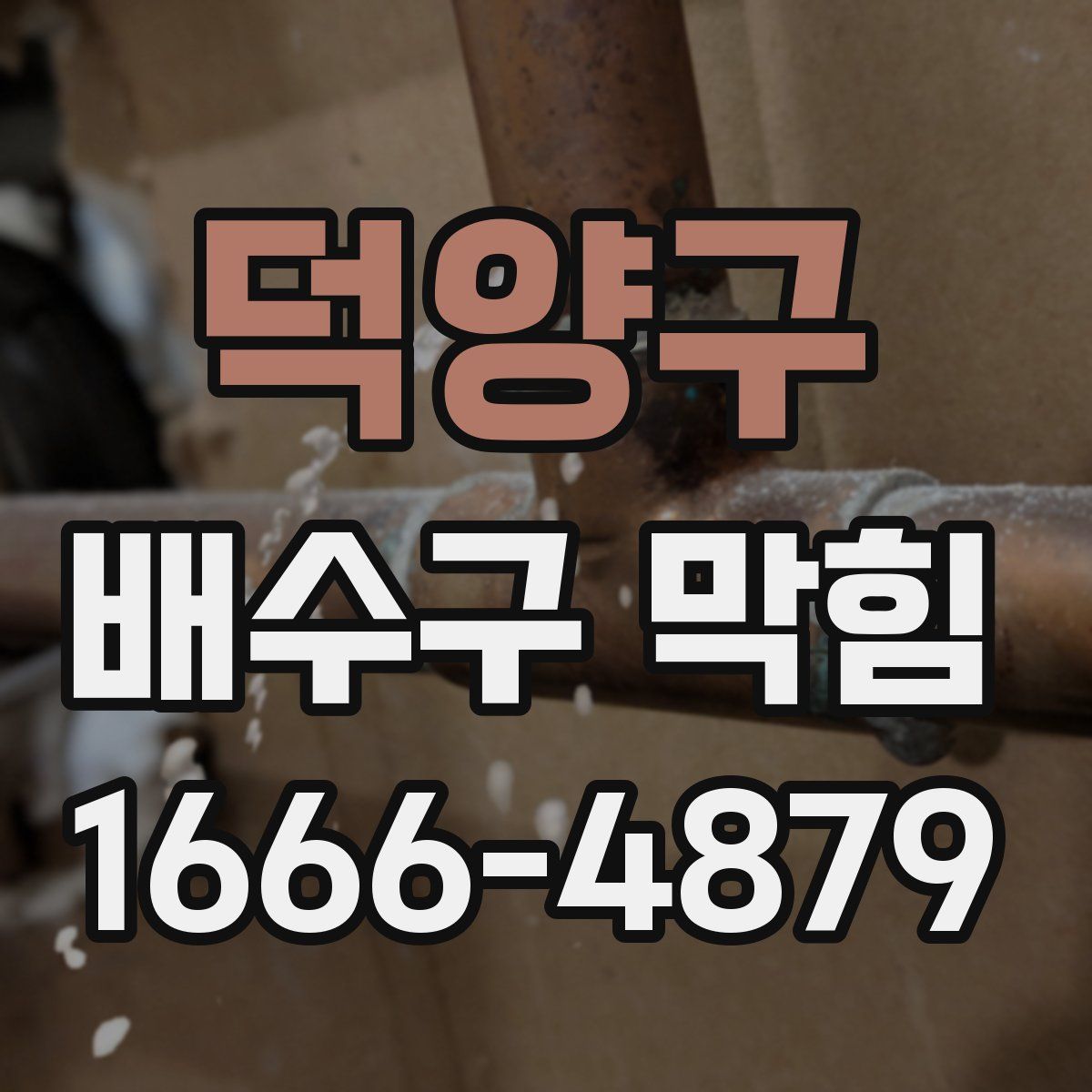 덕양구 배수구 막힘