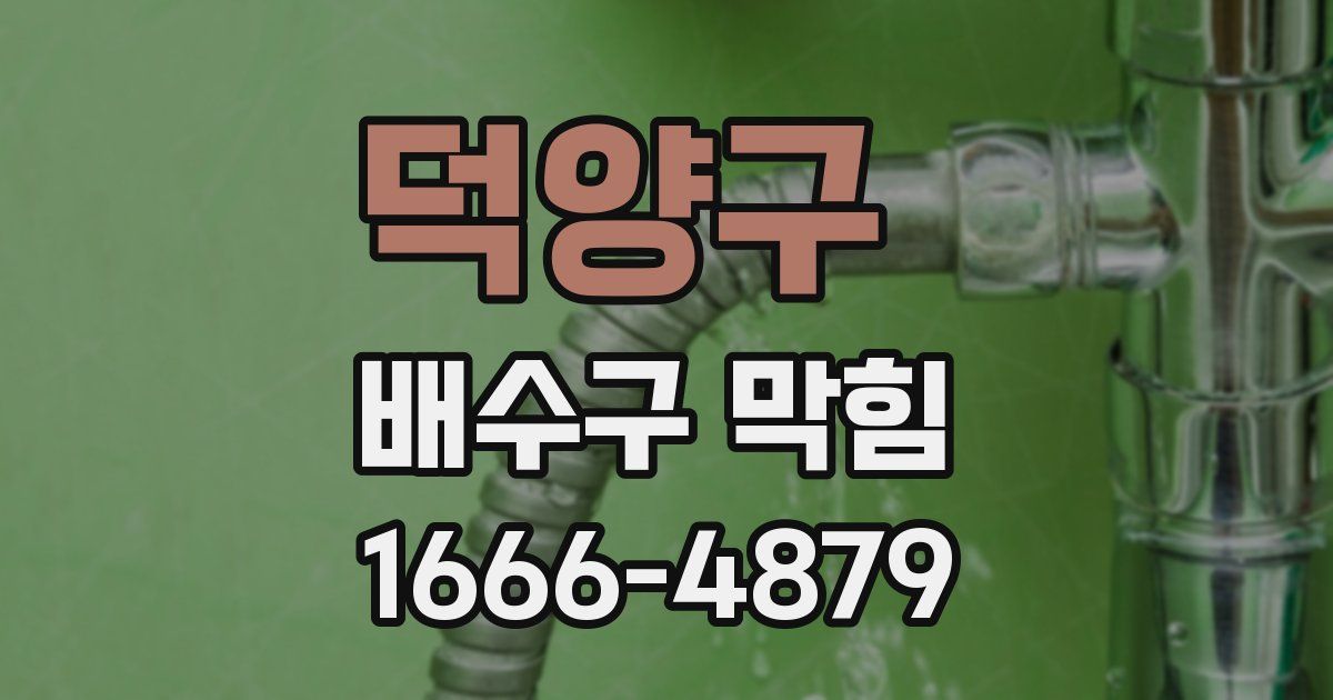 덕양구 배수구 막힘