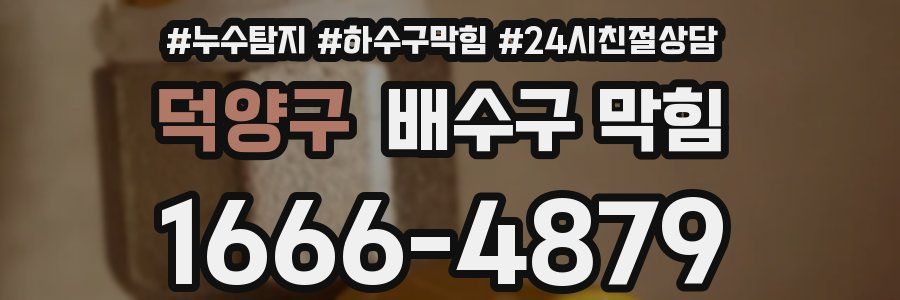 덕양구 배수구 막힘