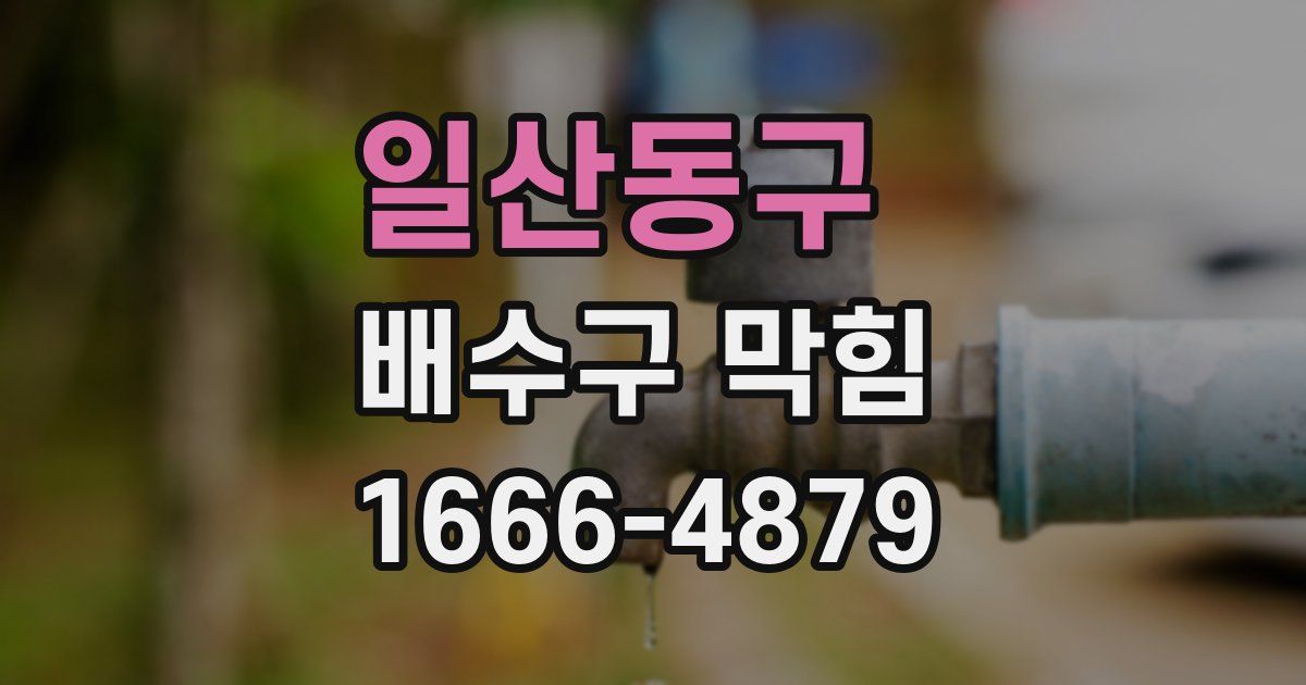 일산동구 배수구 막힘