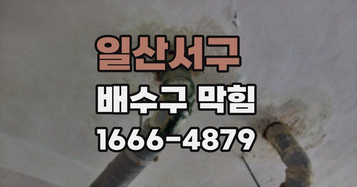 일산서구 배수구 막힘