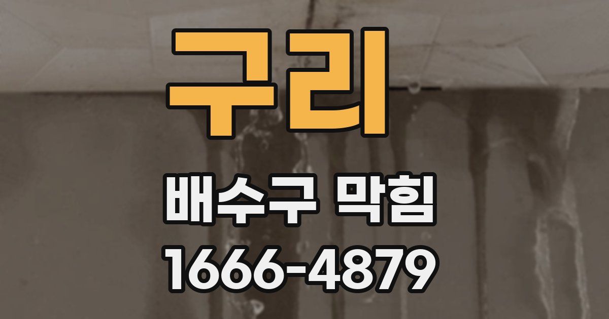 구리 배수구 막힘
