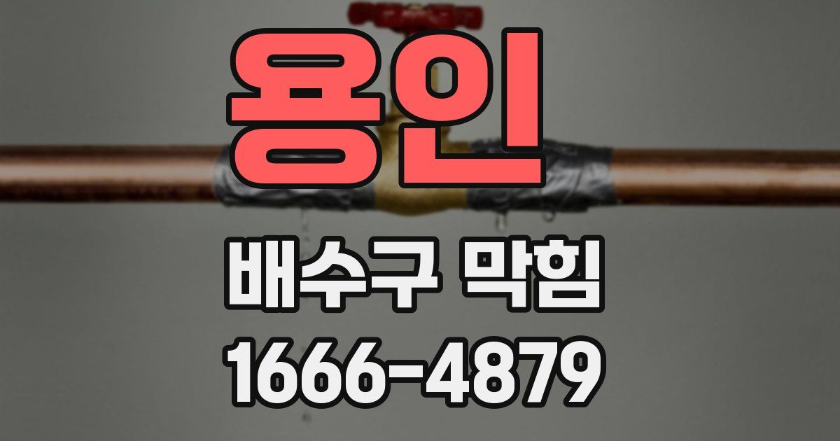 용인 배수구 막힘