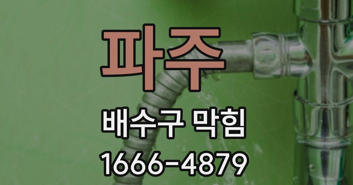 파주 배수구 막힘