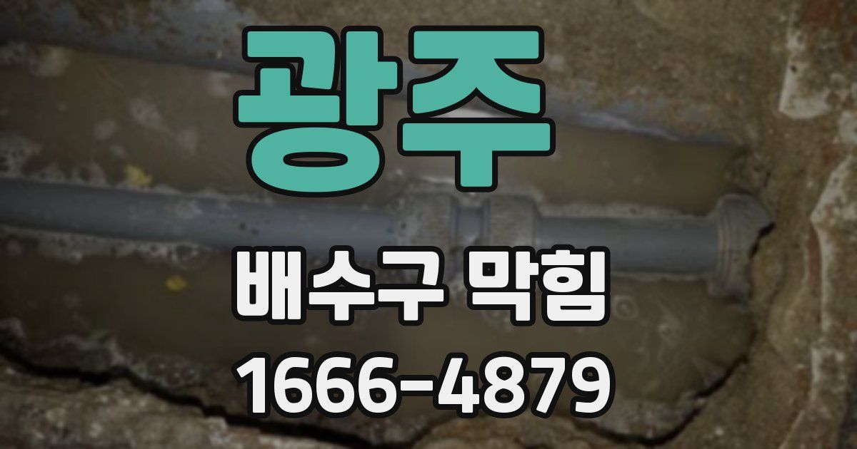 광주 배수구 막힘