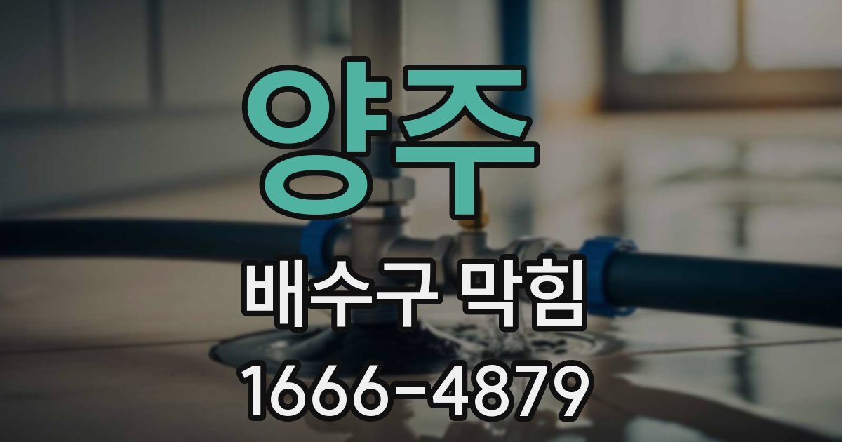 양주 배수구 막힘
