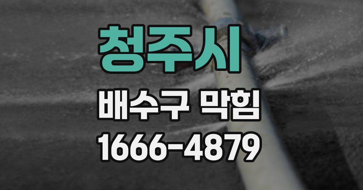 청주시 배수구 막힘