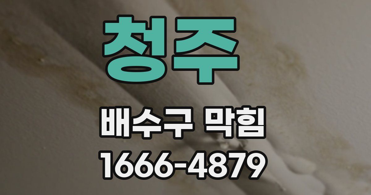 청주 배수구 막힘