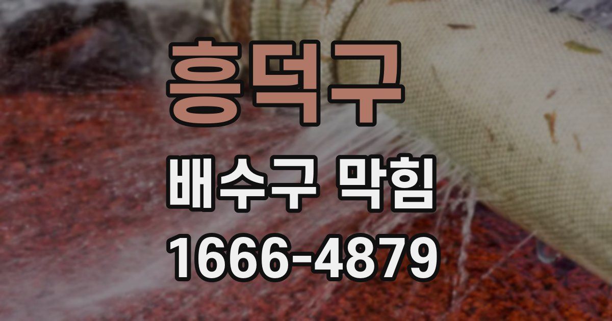 흥덕구 배수구 막힘