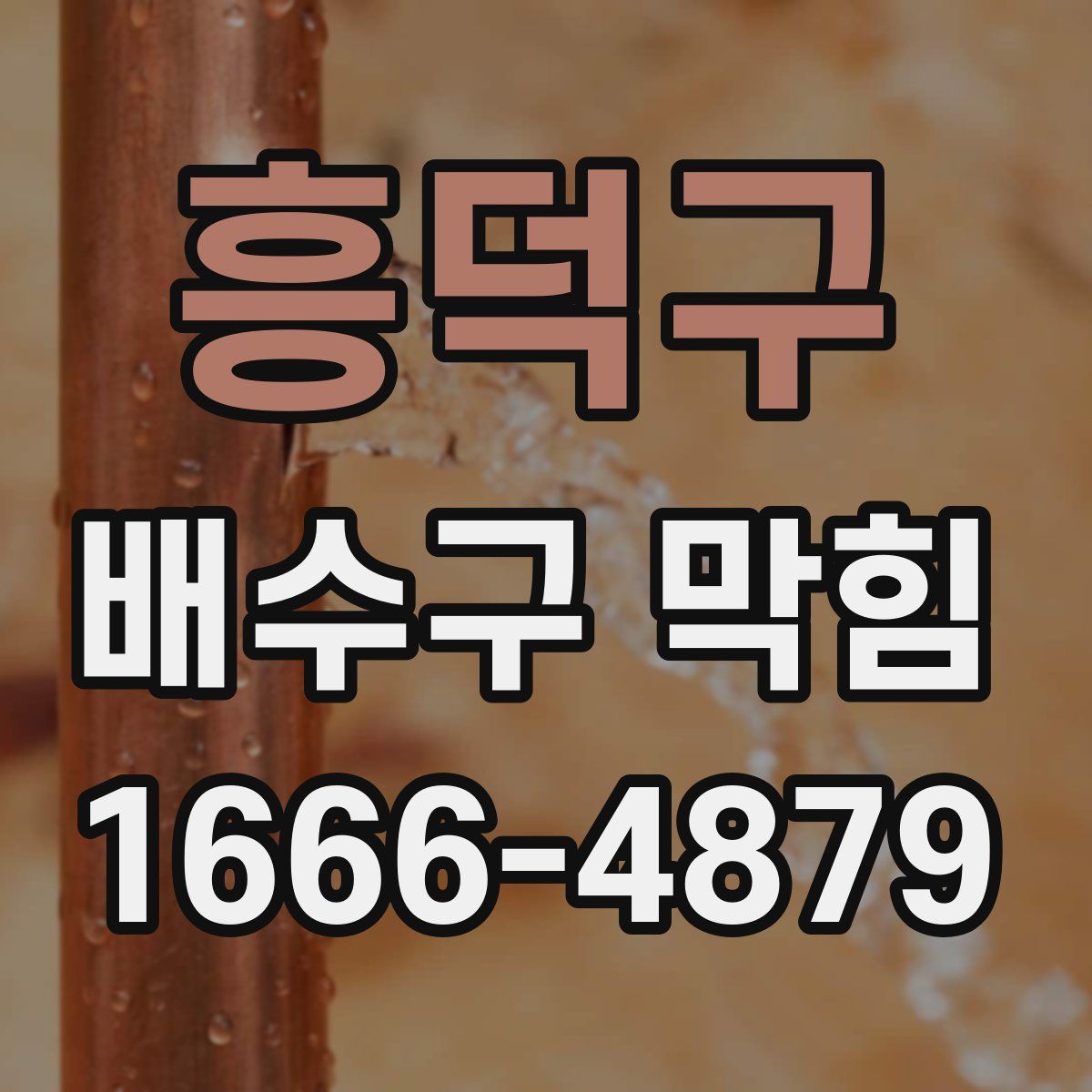 흥덕구 배수구 막힘
