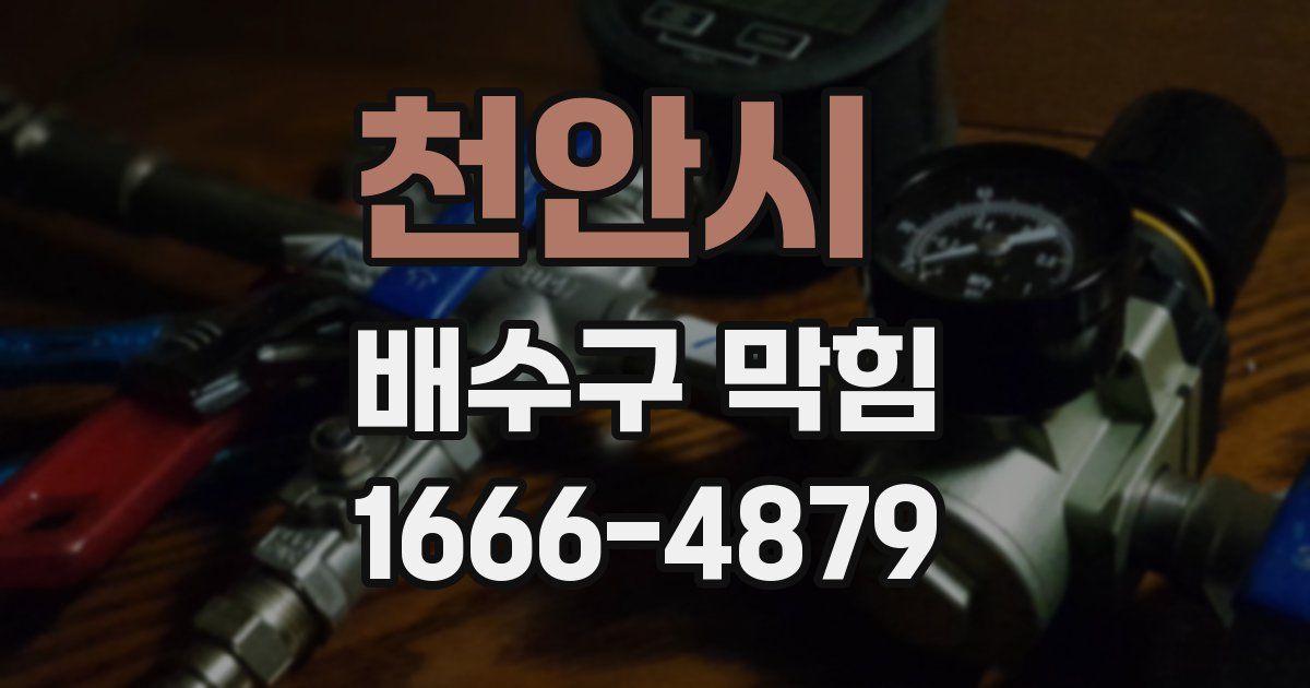 천안시 배수구 막힘
