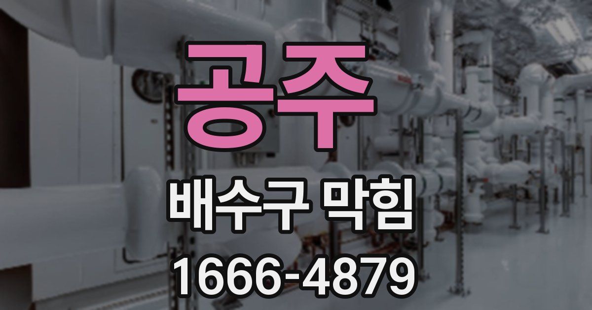 공주 배수구 막힘