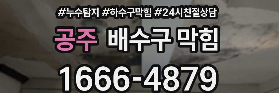 공주 배수구 막힘