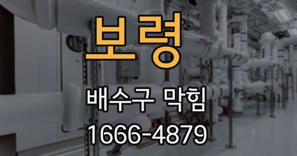 보령 배수구 막힘