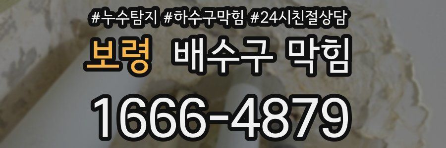 보령 배수구 막힘