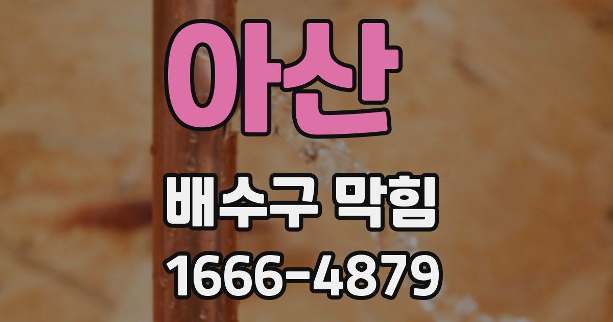 아산 배수구 막힘