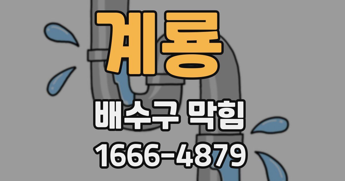 계룡 배수구 막힘