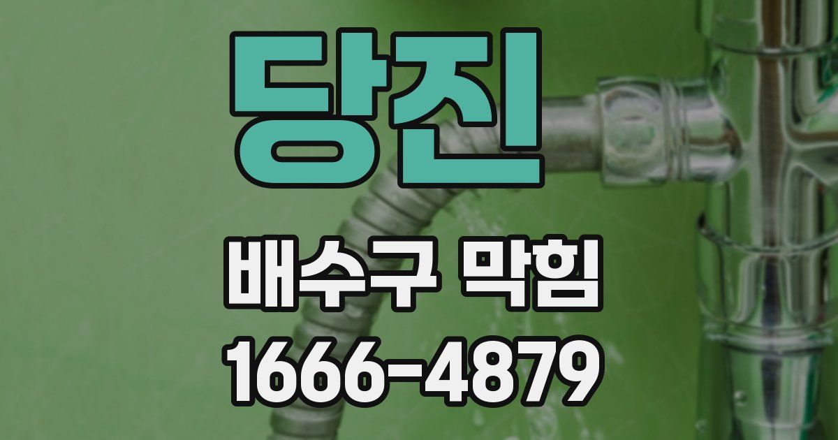 당진 배수구 막힘
