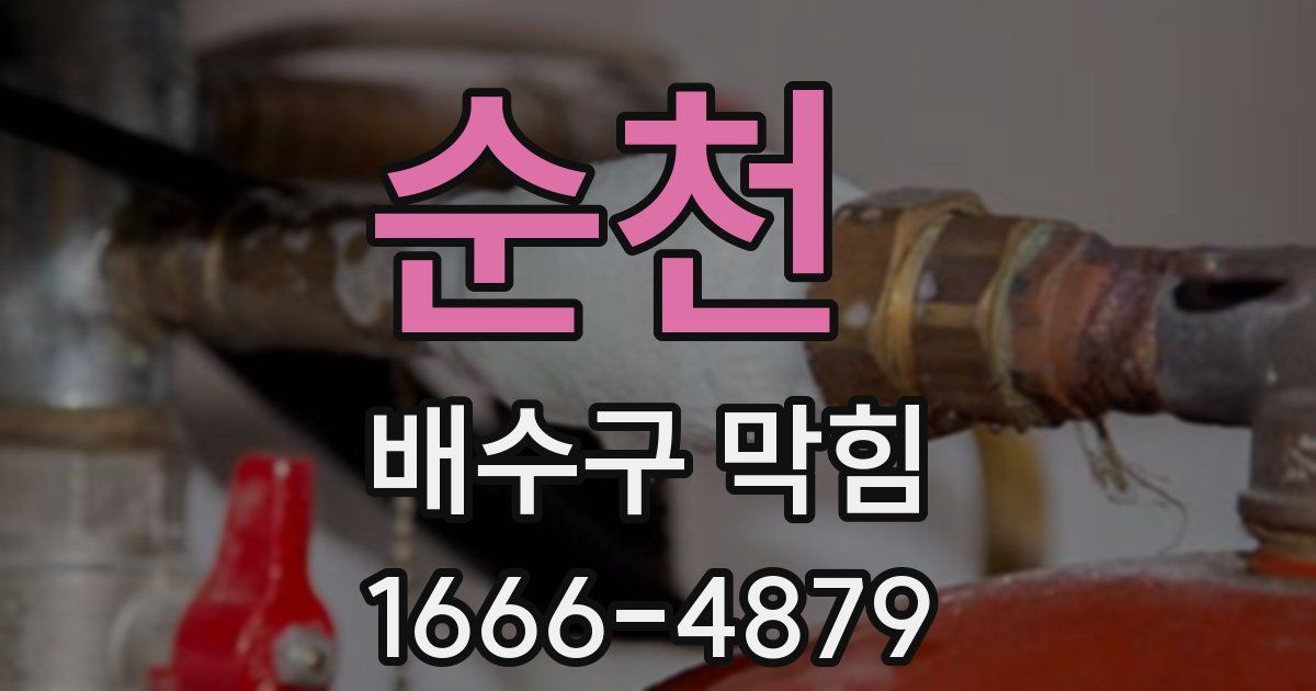 순천 배수구 막힘