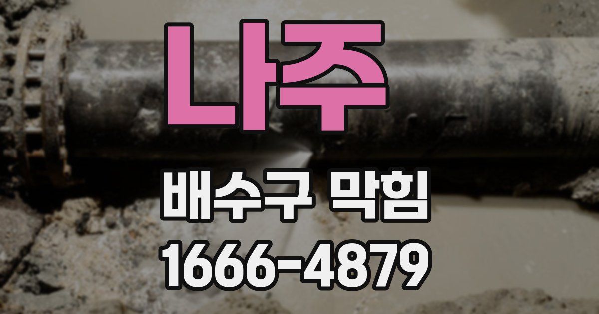 나주 배수구 막힘