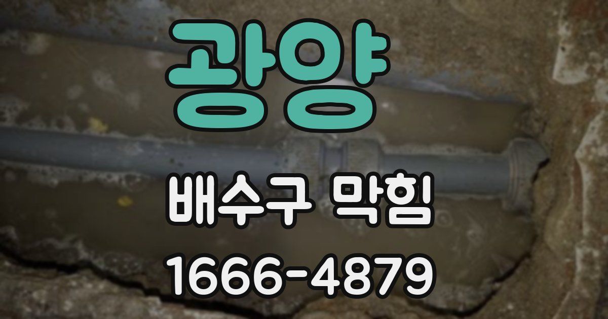 광양 배수구 막힘