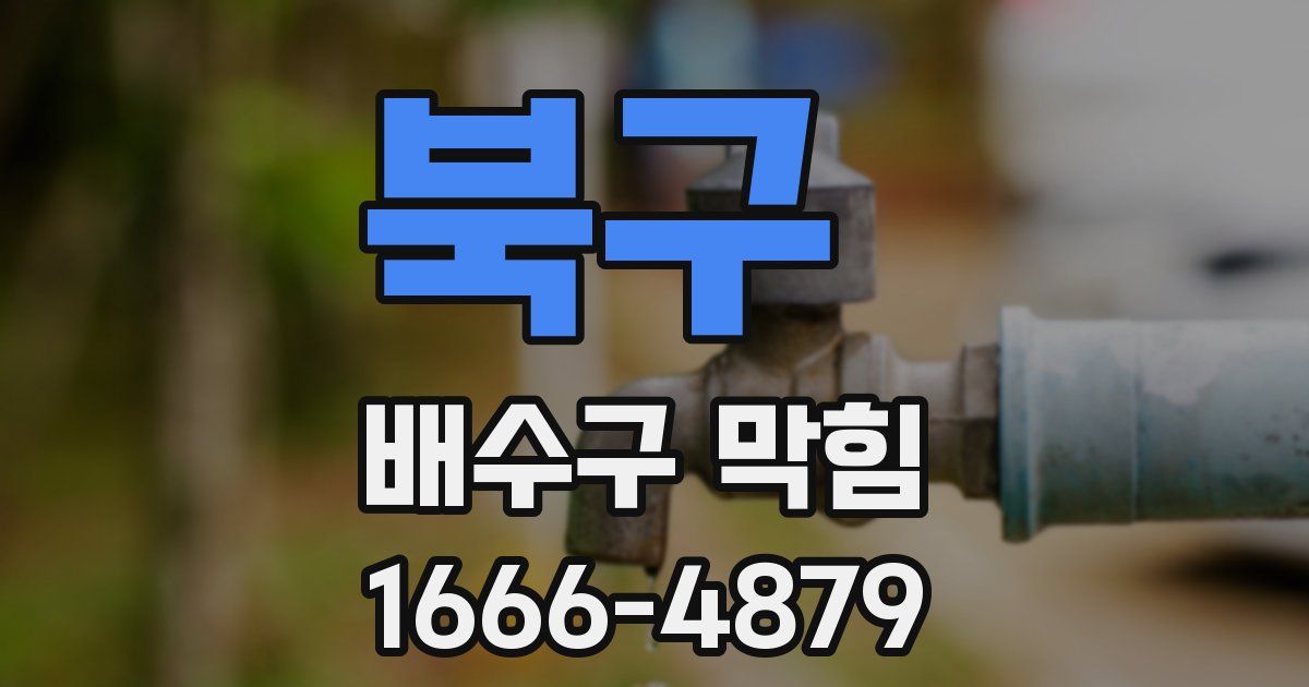 북구 배수구 막힘