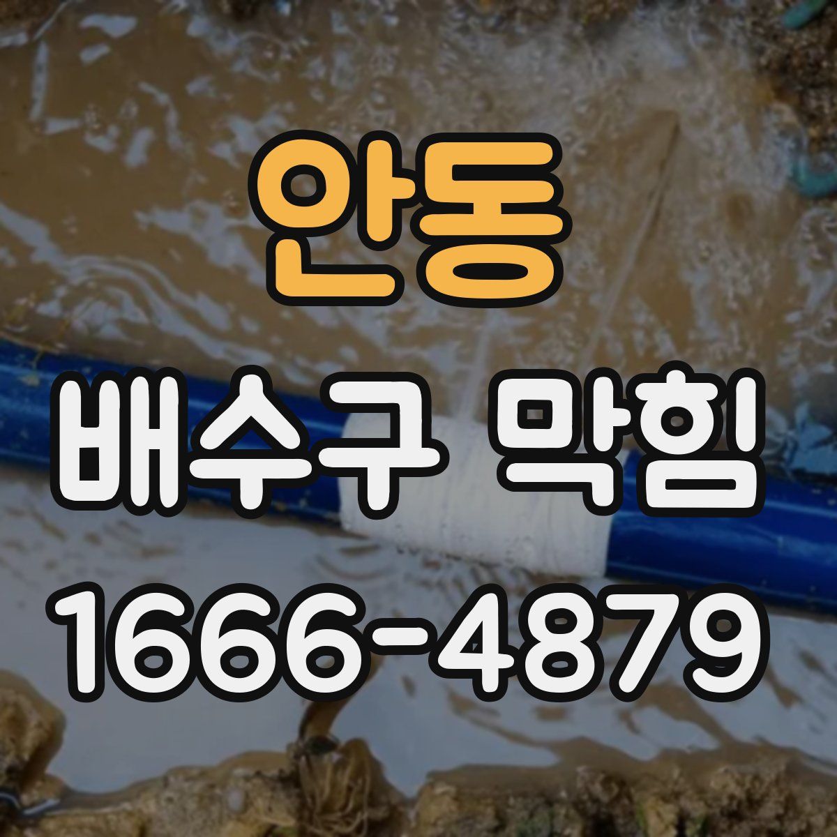 안동 배수구 막힘