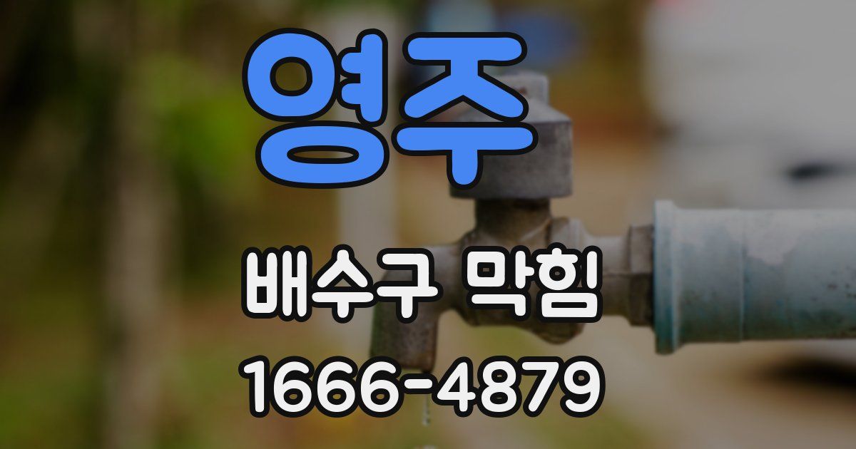 영주 배수구 막힘
