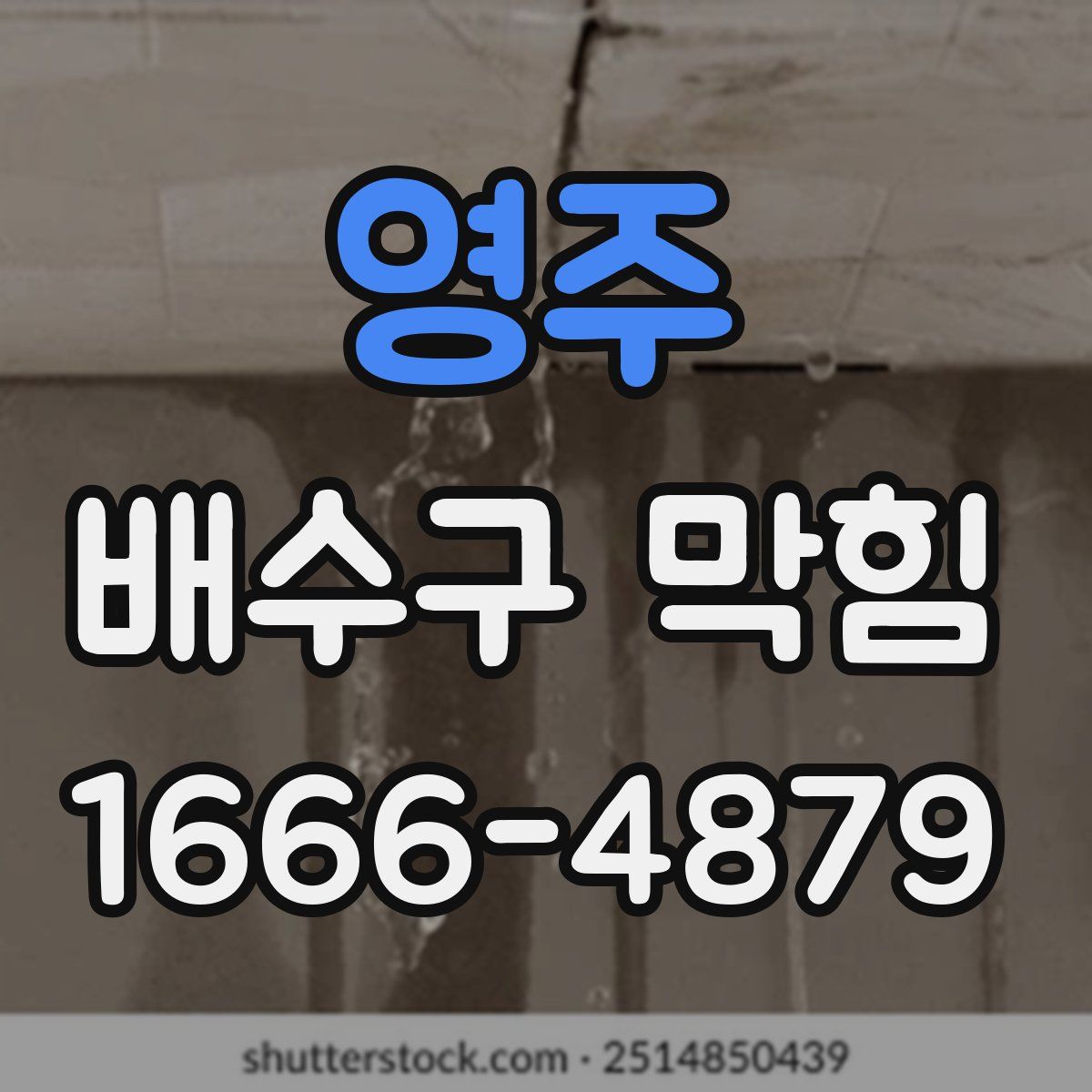 영주 배수구 막힘
