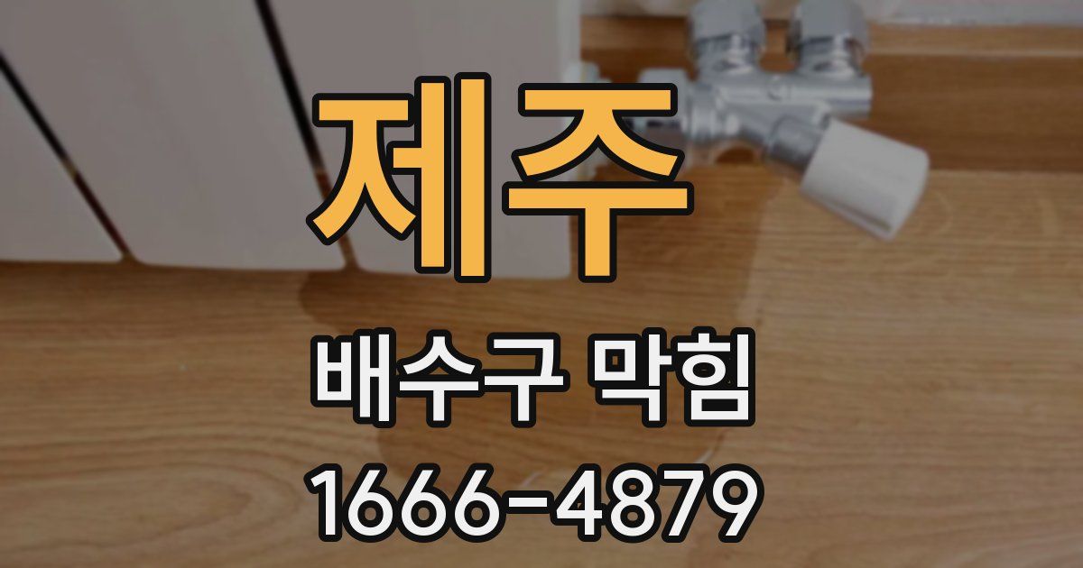 제주 배수구 막힘