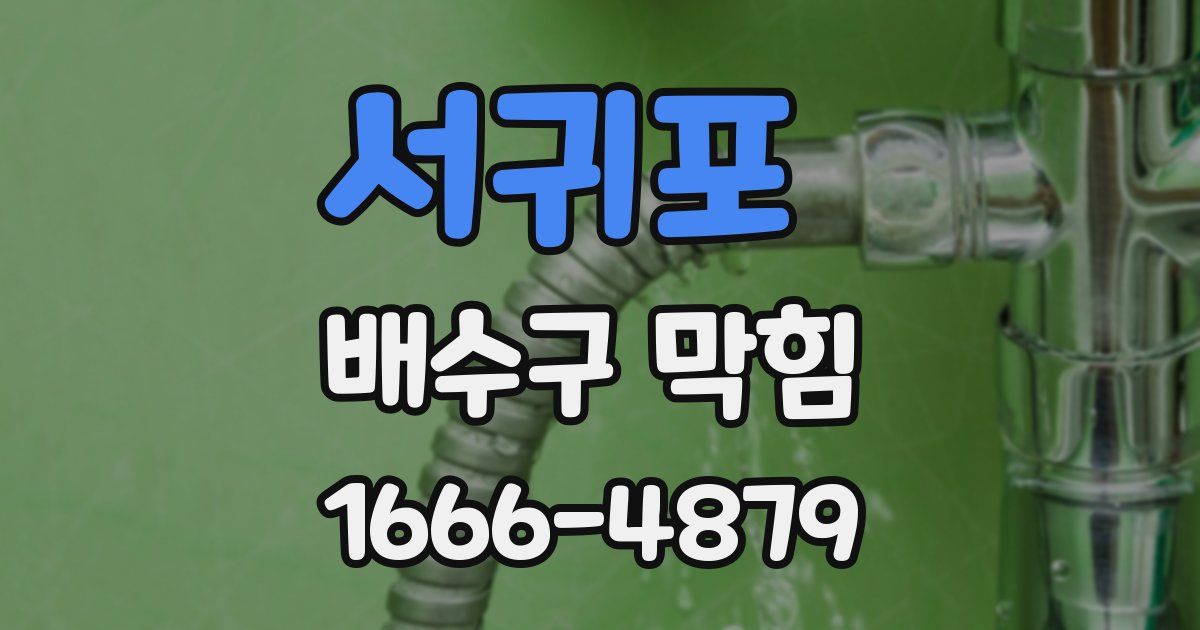 서귀포 배수구 막힘