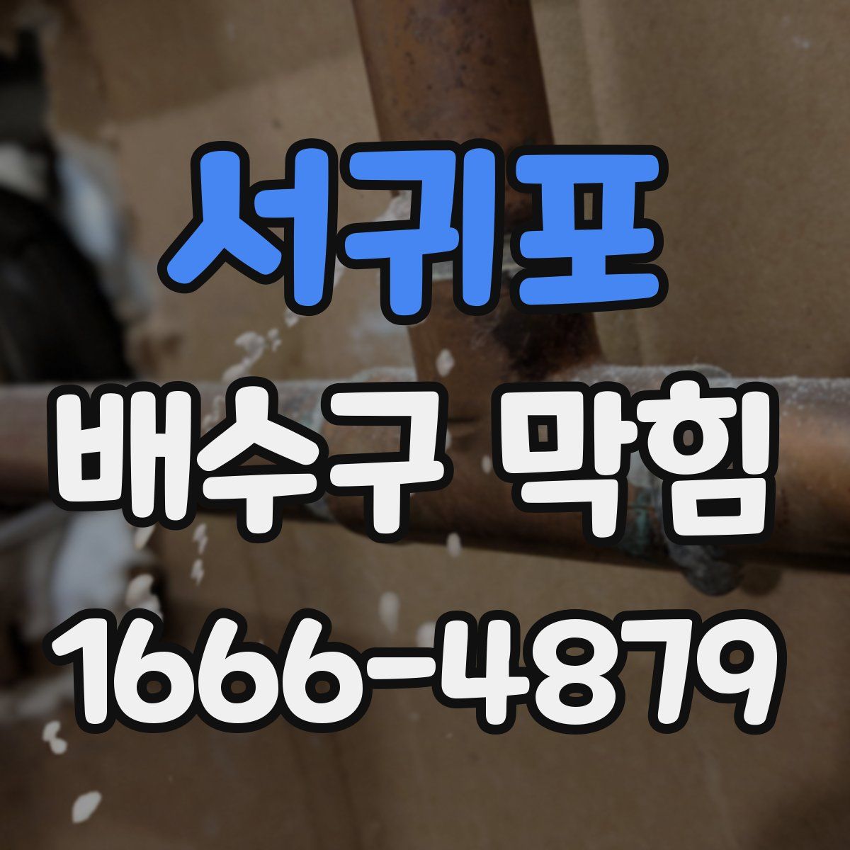 서귀포 배수구 막힘