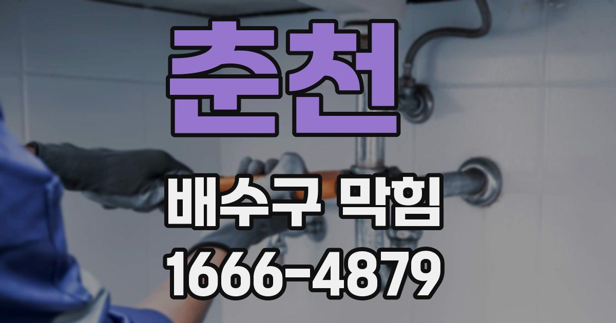 춘천 배수구 막힘