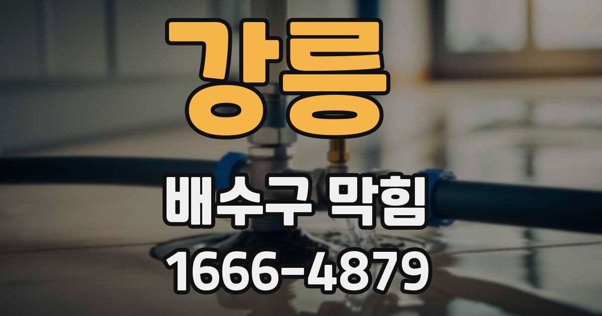 강릉 배수구 막힘
