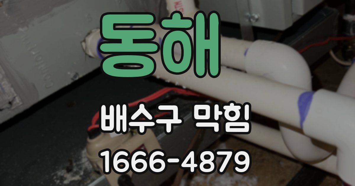 동해 배수구 막힘
