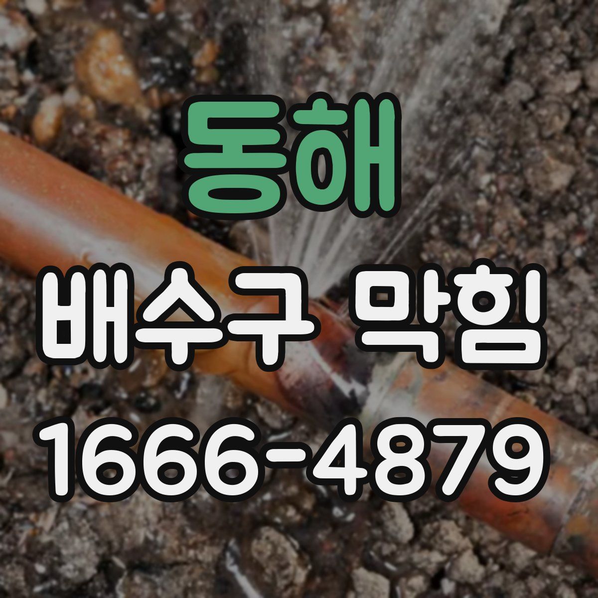 동해 배수구 막힘