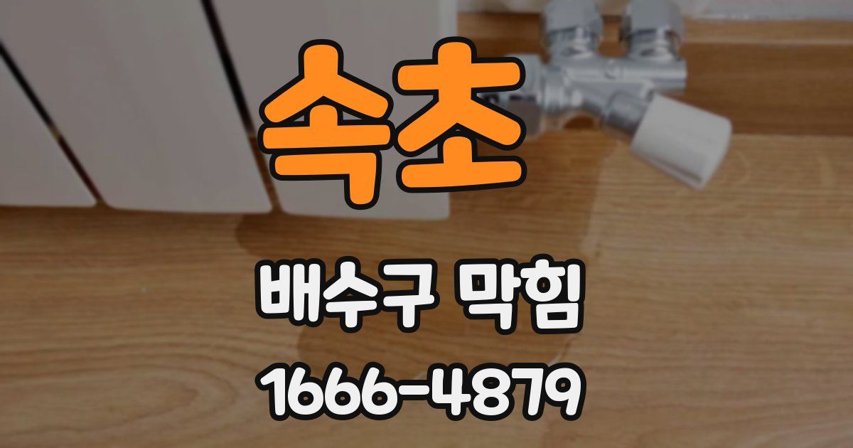 속초 배수구 막힘