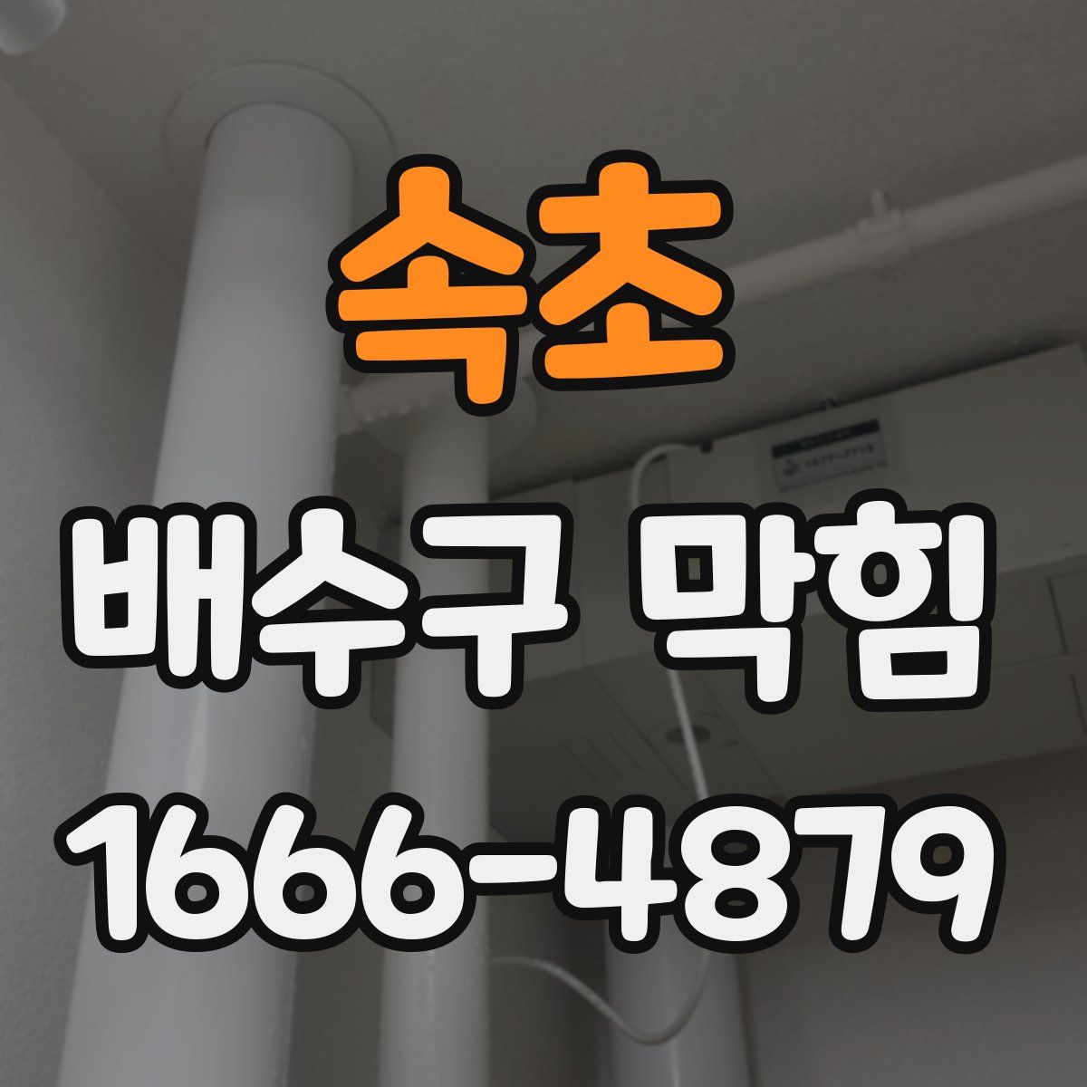 속초 배수구 막힘