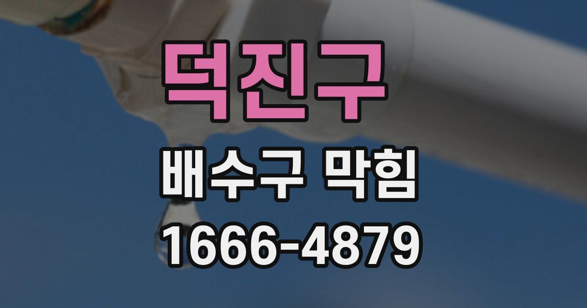 덕진구 배수구 막힘
