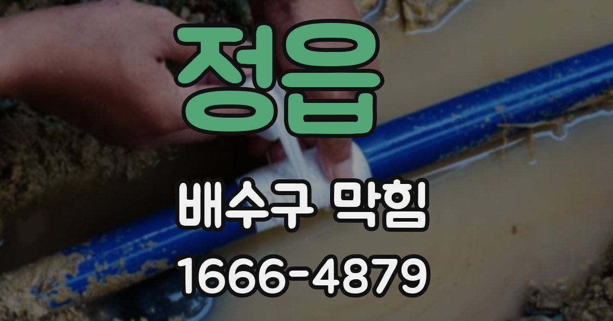 정읍 배수구 막힘